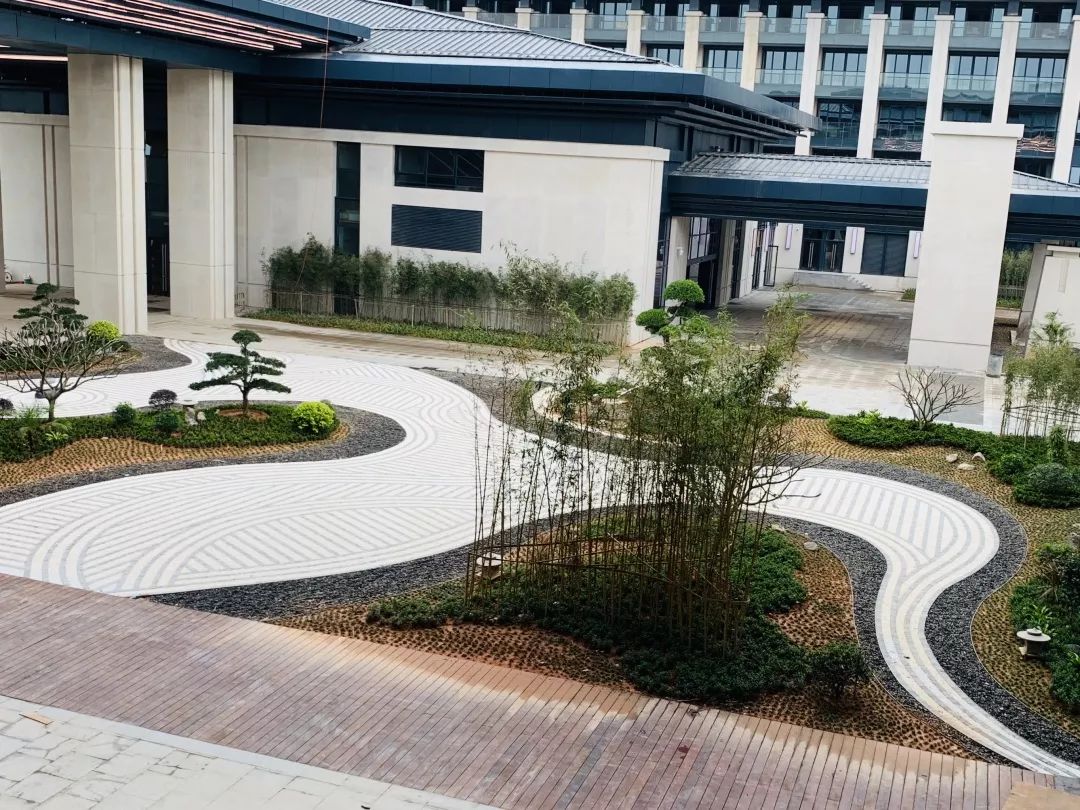 速度与激情的碰撞 | 从“速度坪山”到“绿色坪山”-18