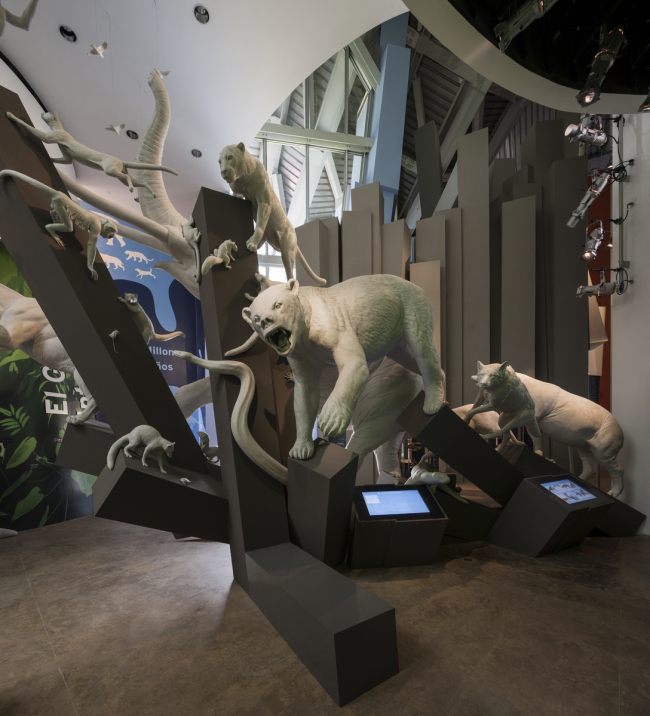 Biomuseo  生物多样性博物馆丨弗兰克·盖里（Frank Gehry）-71