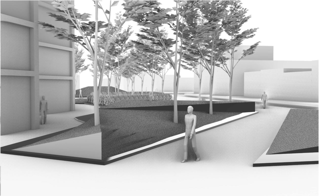 组装苹果项目丨哥伦比亚-18