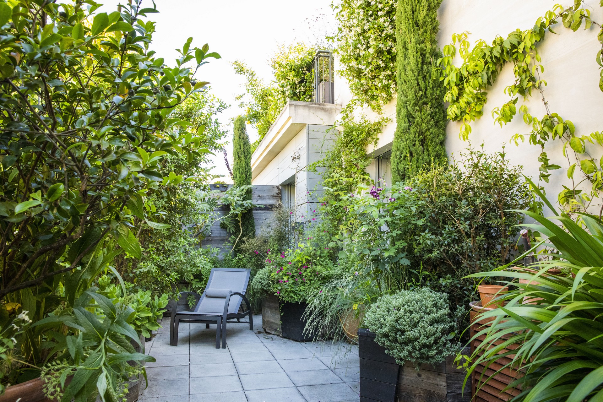 巴黎35平方米露台景观设计丨法国巴黎丨Opus Paysage Alexandre Tonnerre-2