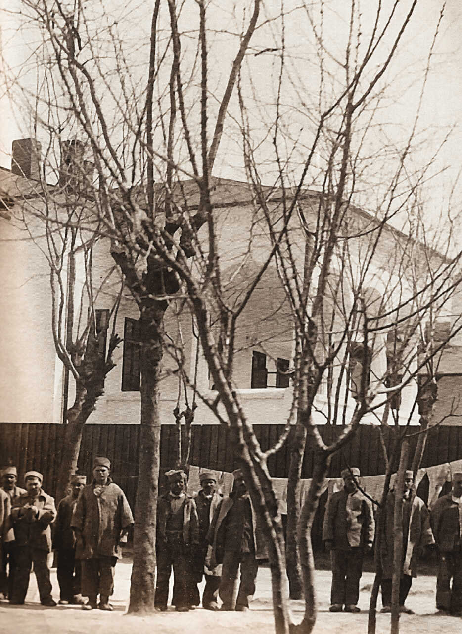 Văcărești Monastery（维卡雷斯蒂修道院）丨罗马尼亚布加勒斯特-75