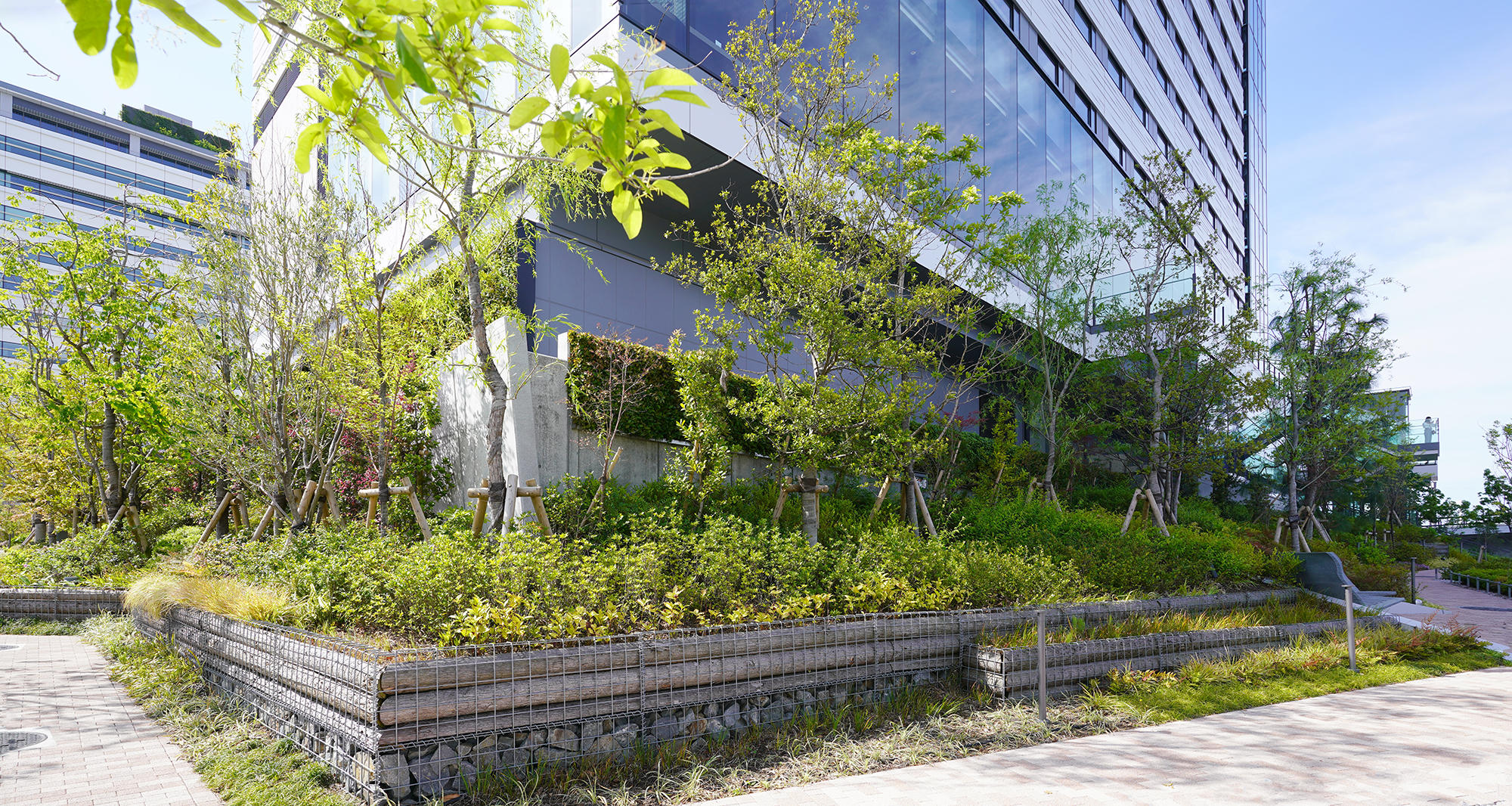 ラビスタ東京ベイ ランドスケープ|FIELD FOUR DESIGN OFFICE-8