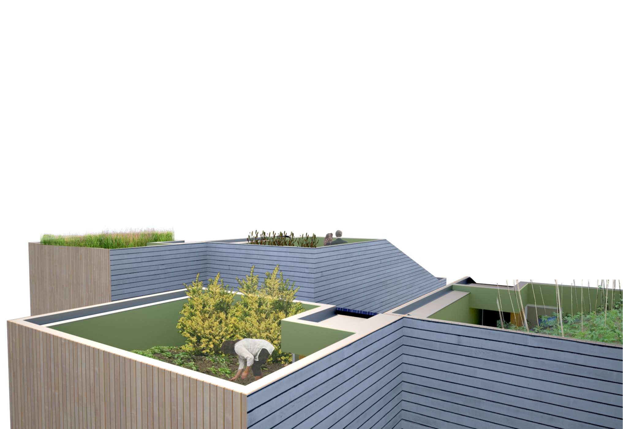 e housing competition-7