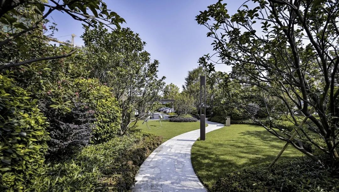 三水荷花世界,云水荷香间的归心之所-42