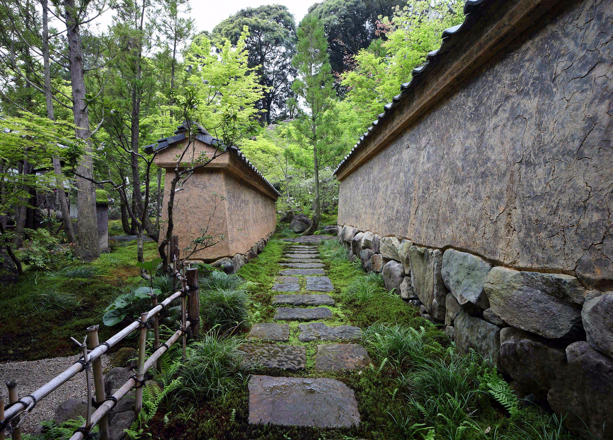 德荣寺 紫音庵丨日本福冈丨Masumi Yanase Architect Office-98