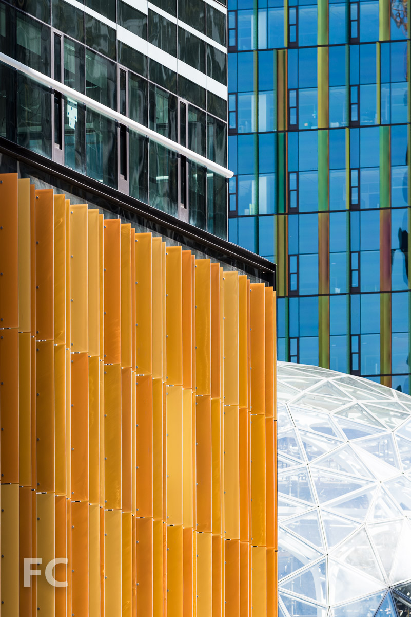 Amazon Headquarters Seattle — FIELD CONDITION-19