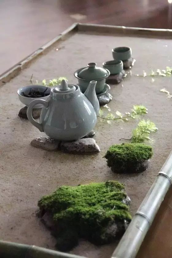 案上花草,闲时观 | 品味室内设计中的自然美学-6