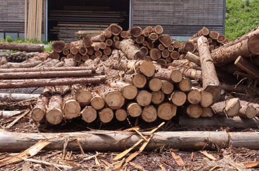 函館山プロジェクト:製材所と敷地丨究建築研究室Q Labo.与大学研究室-10