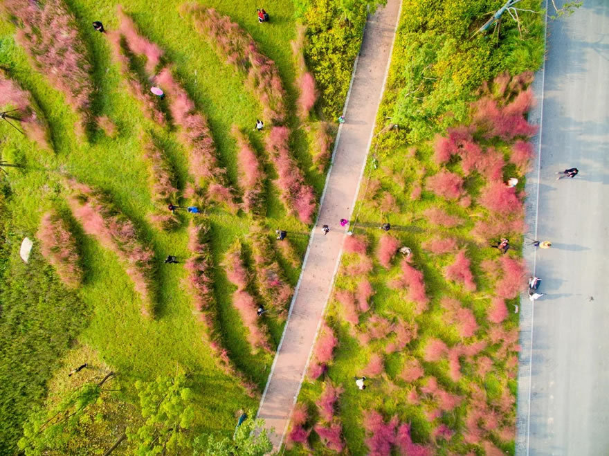 新加坡·南京生态科技岛滨江风光带(大江侧)示范区景观设计项目-33