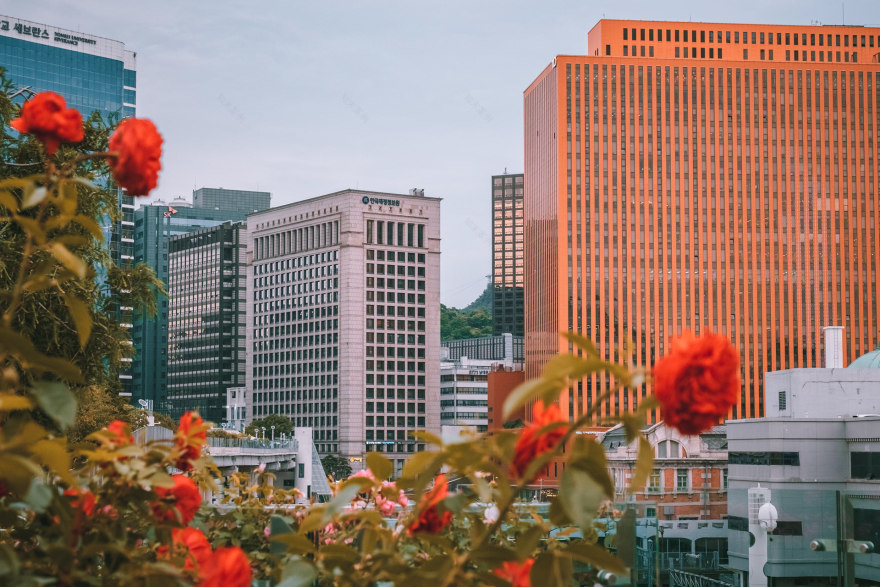 首尔路 7017丨韩国首尔-4