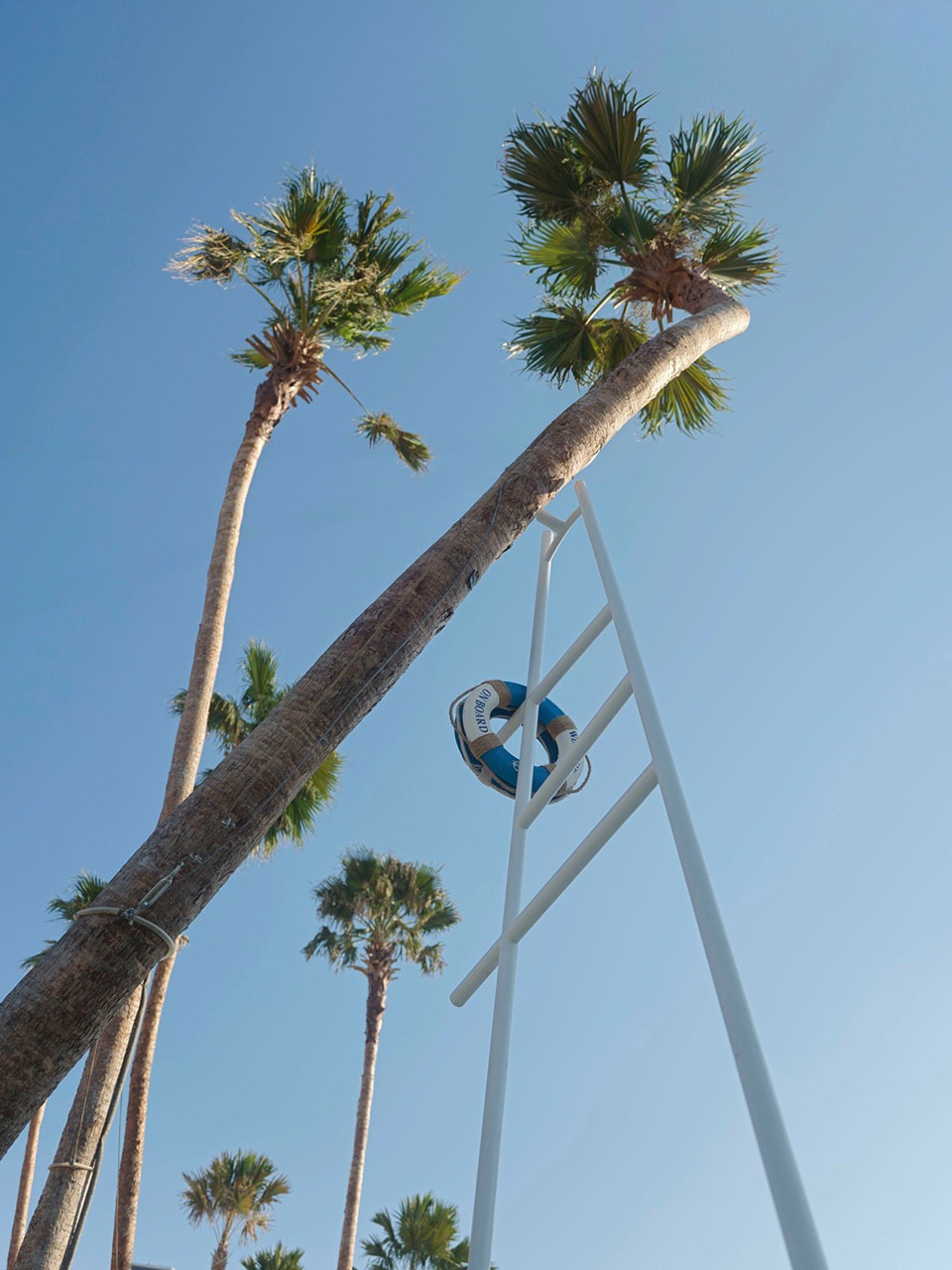 MIXC VILLAGE东莞万象滨海购物村丨萨尔瓦多滨海丨承迹景观,AG汇序建筑设计等多家公司-117