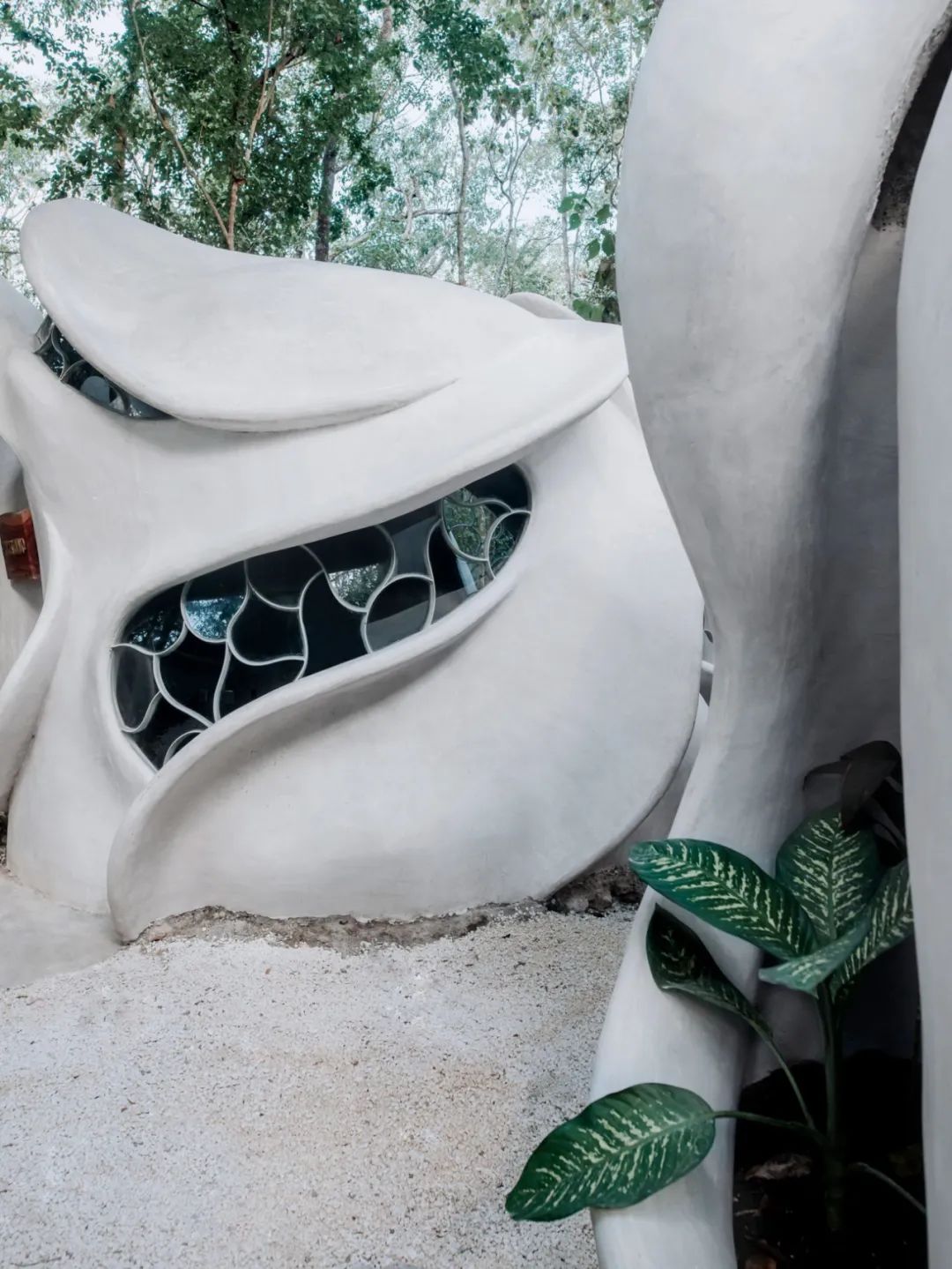 “昆虫翼”办公室 Fab Lab丨墨西哥丨Roth Architecture-5