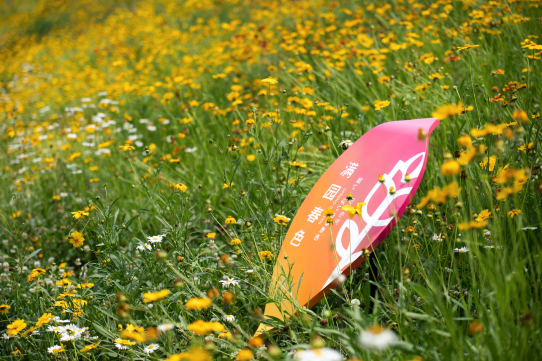 那条飘带 等你触碰:成都大运公园,BOXI柏熙标识丨中国成都丨上海柏熙标识有限公司-35