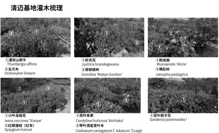 老挝鑫越城市中心景观项目丨基准方中建筑设计股份有限公司-68