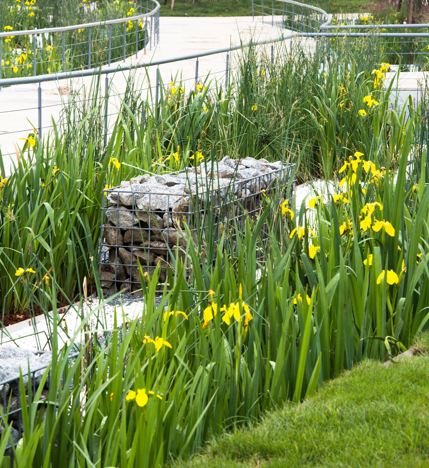 南昌 Rule 水街-18