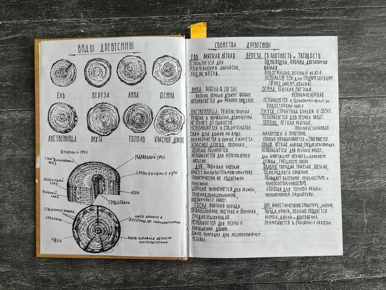 Sletchbook on the history of architecture-0
