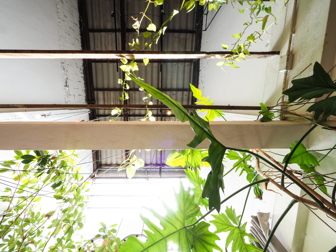 复古与自然共融的泰国 Too Can Cafe丨泰国曼谷丨SOAR（space oddity architect）-27