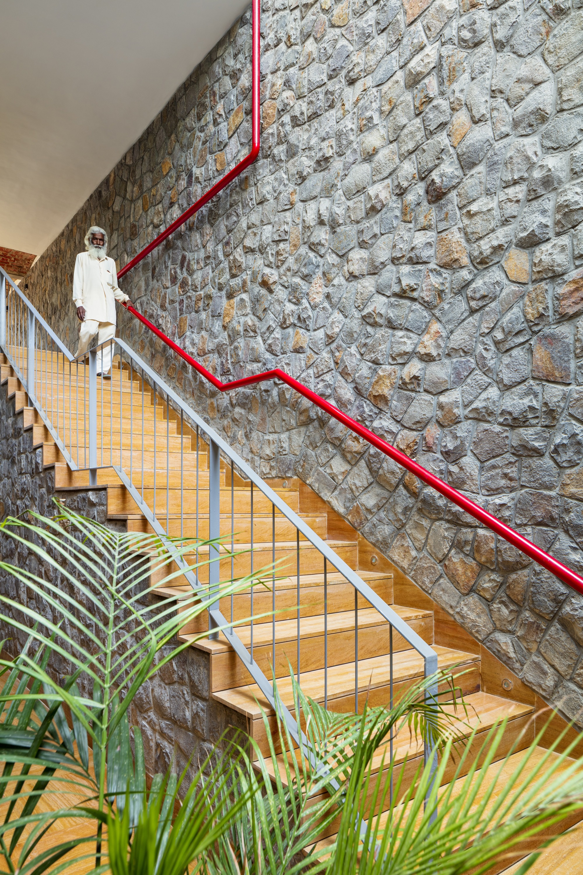 人树屋丨印度丨Archiopteryx-29