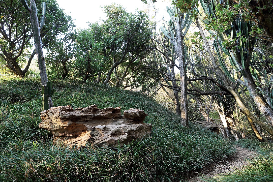 The Saxon Johannesburg 南非约翰尼斯堡Saxon酒店-19