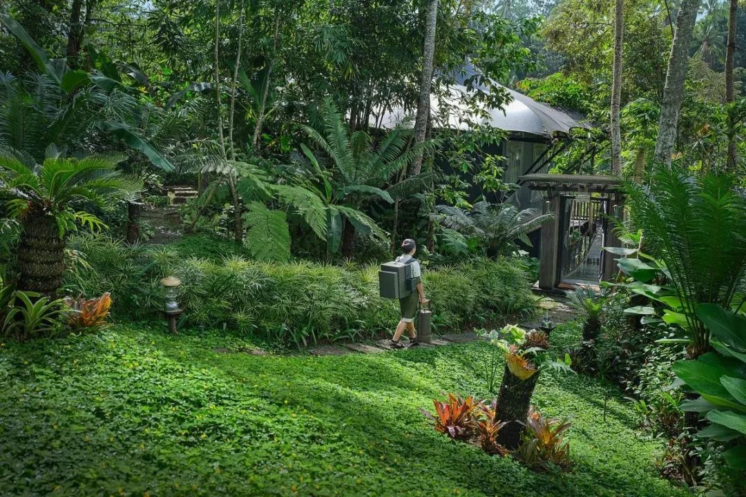 嘉佩乐酒店丨多个设计公司-99