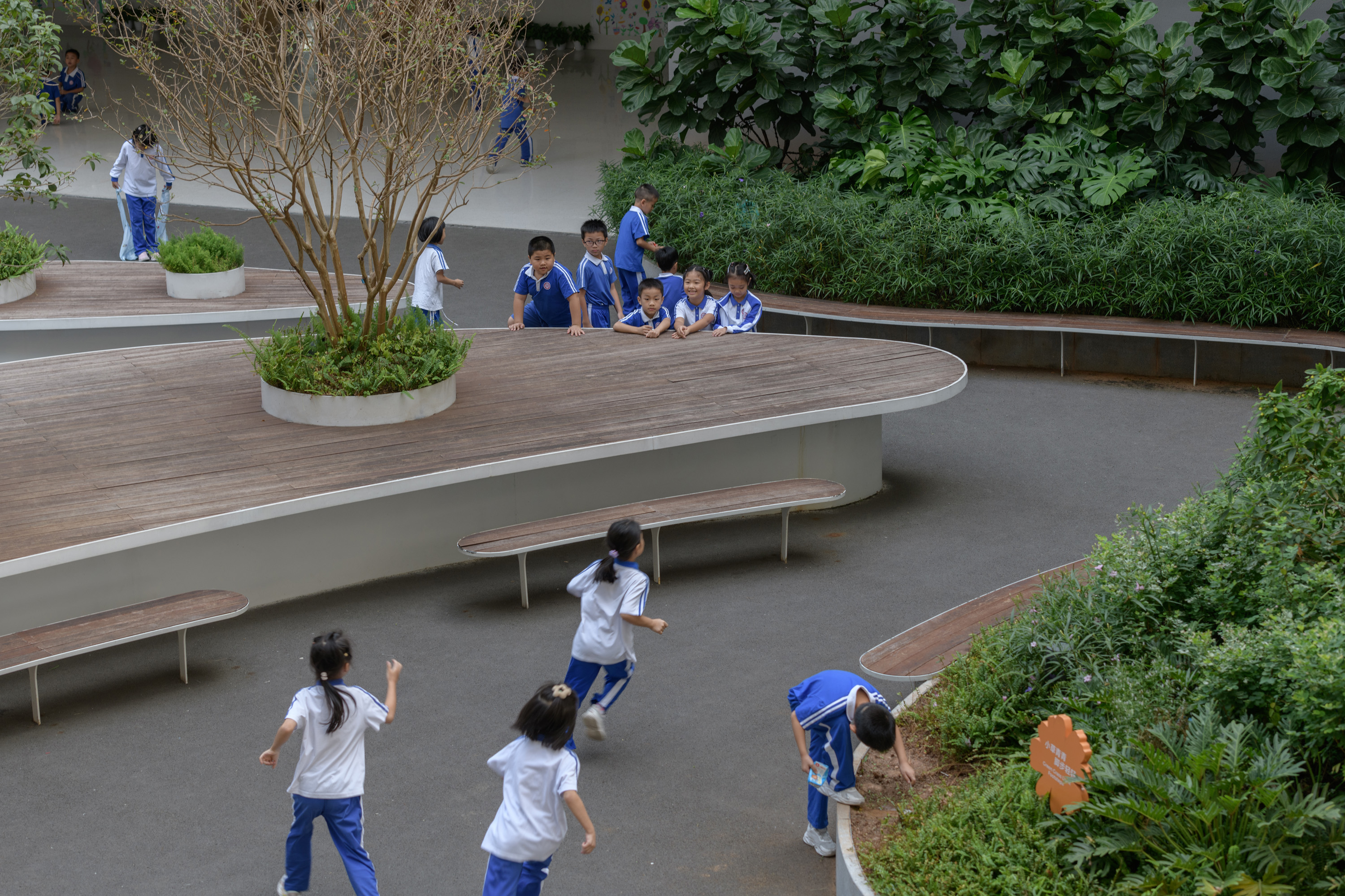 红岭教育集团 华富实验学校丨中国深圳丨大小景观,深圳市建筑设计研究总院有限公司,广州天泓-81