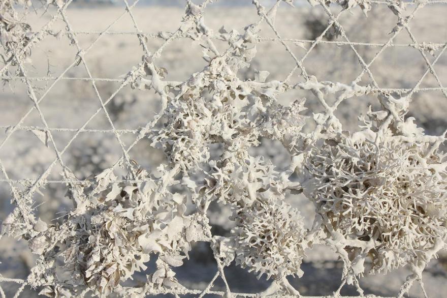 全球设计大赏 | 创新材料与生态可持续性的完美结合-19