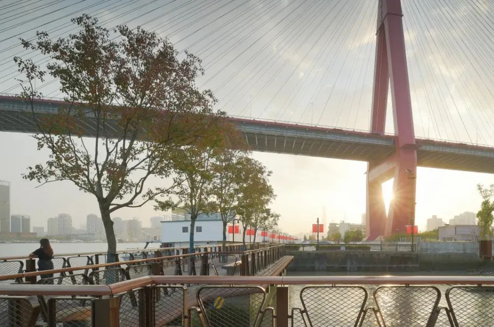 罗朗设计2025上海项目-221