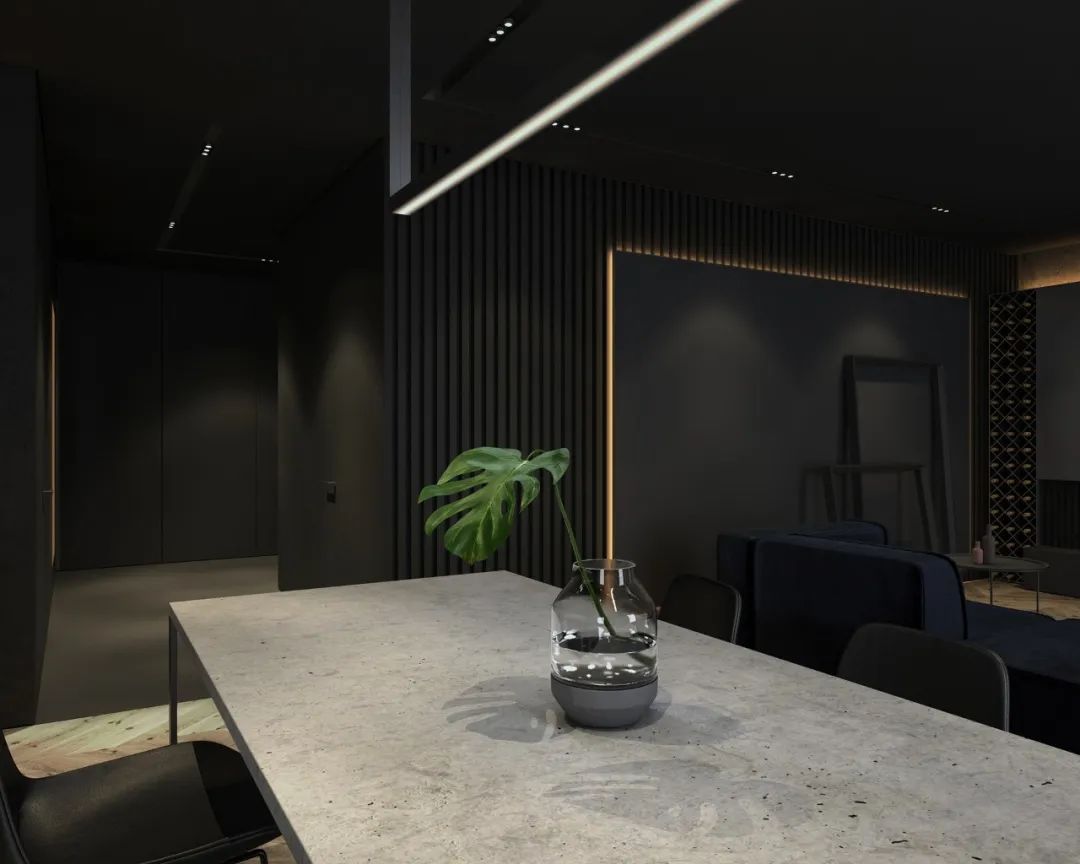 深色家居设计,低调奢华的美感-24