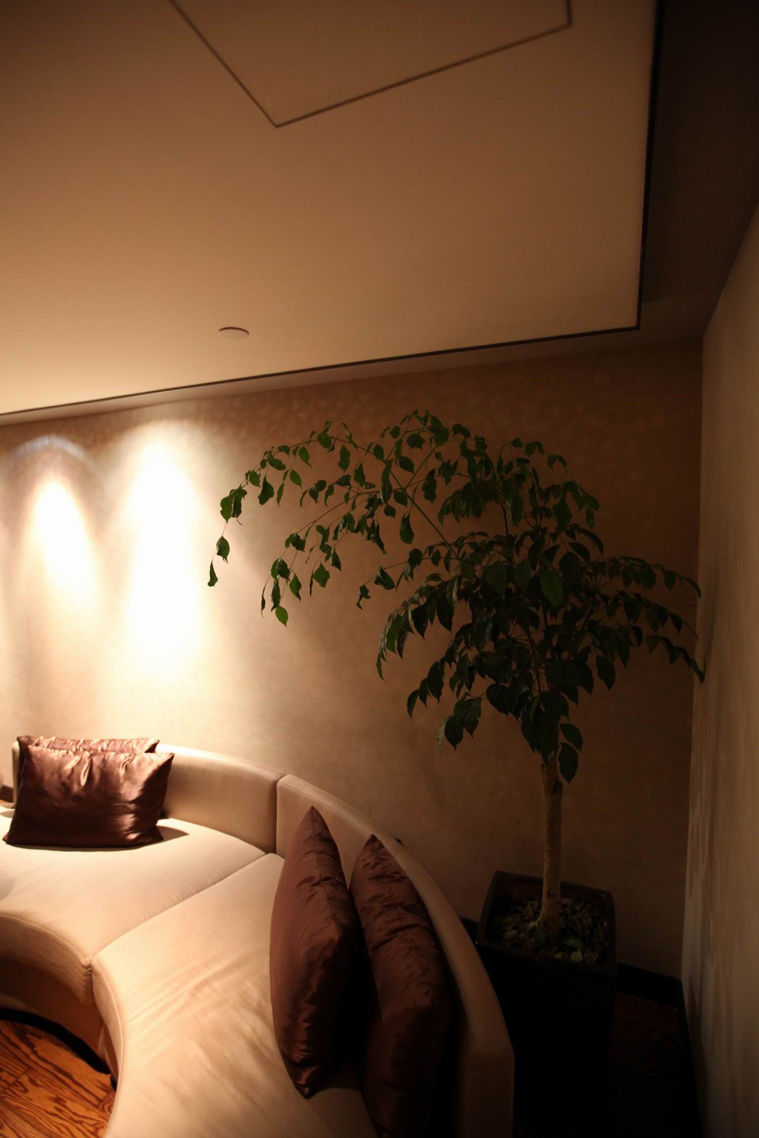 英国洲际酒店Diao 成都洲际丶花样年-2-4