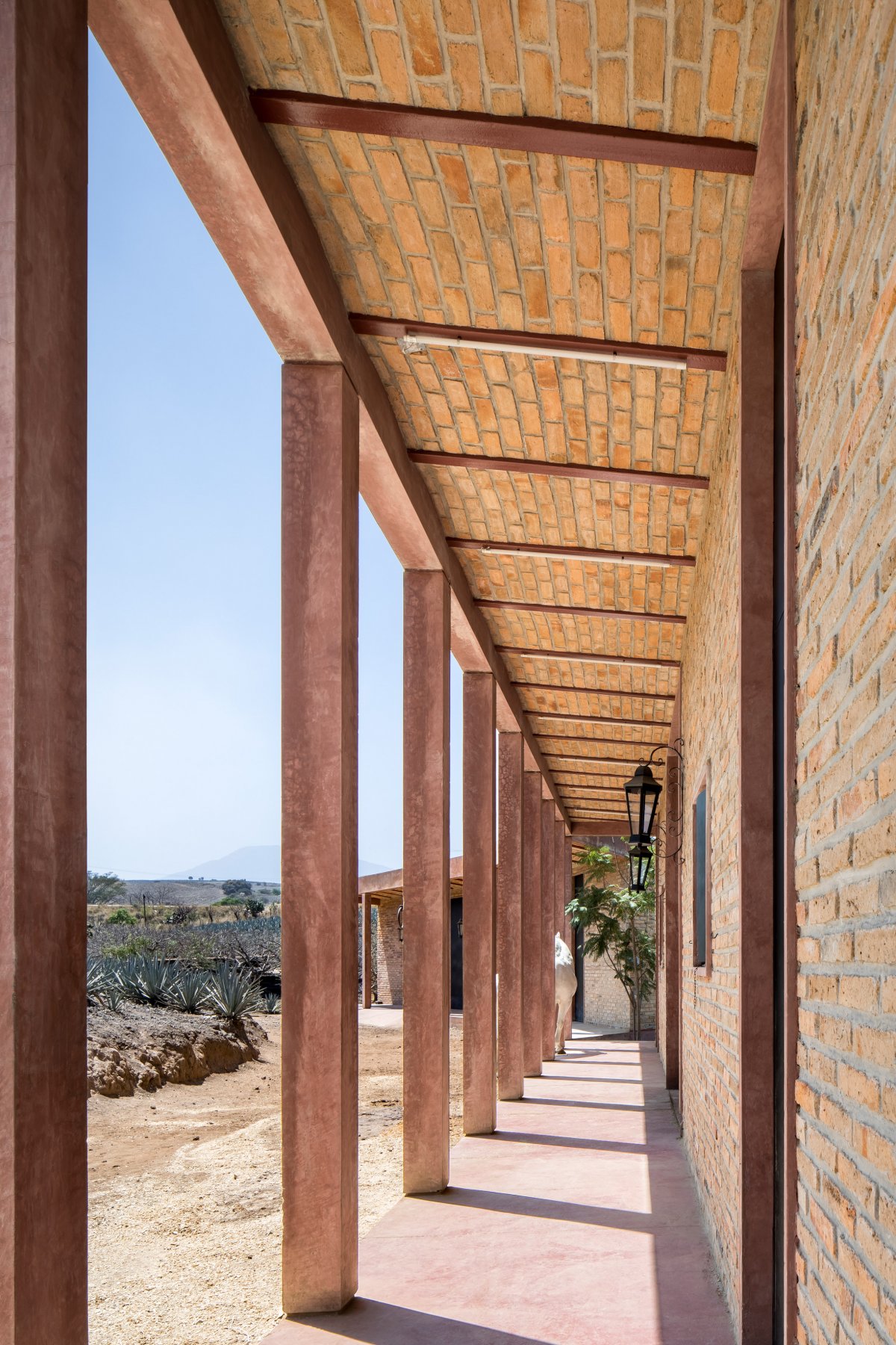 Agavero 牧场丨墨西哥丨1540 Arquitectura-9