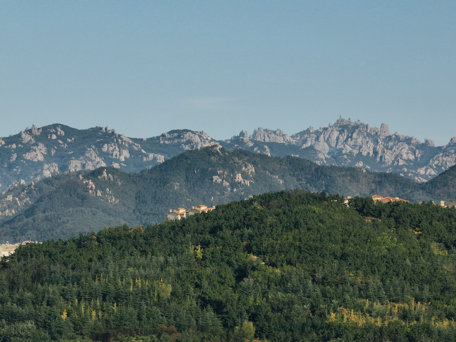 青岛金茂璞逸世园示范区丨中国青岛丨MIND迈德景观-9
