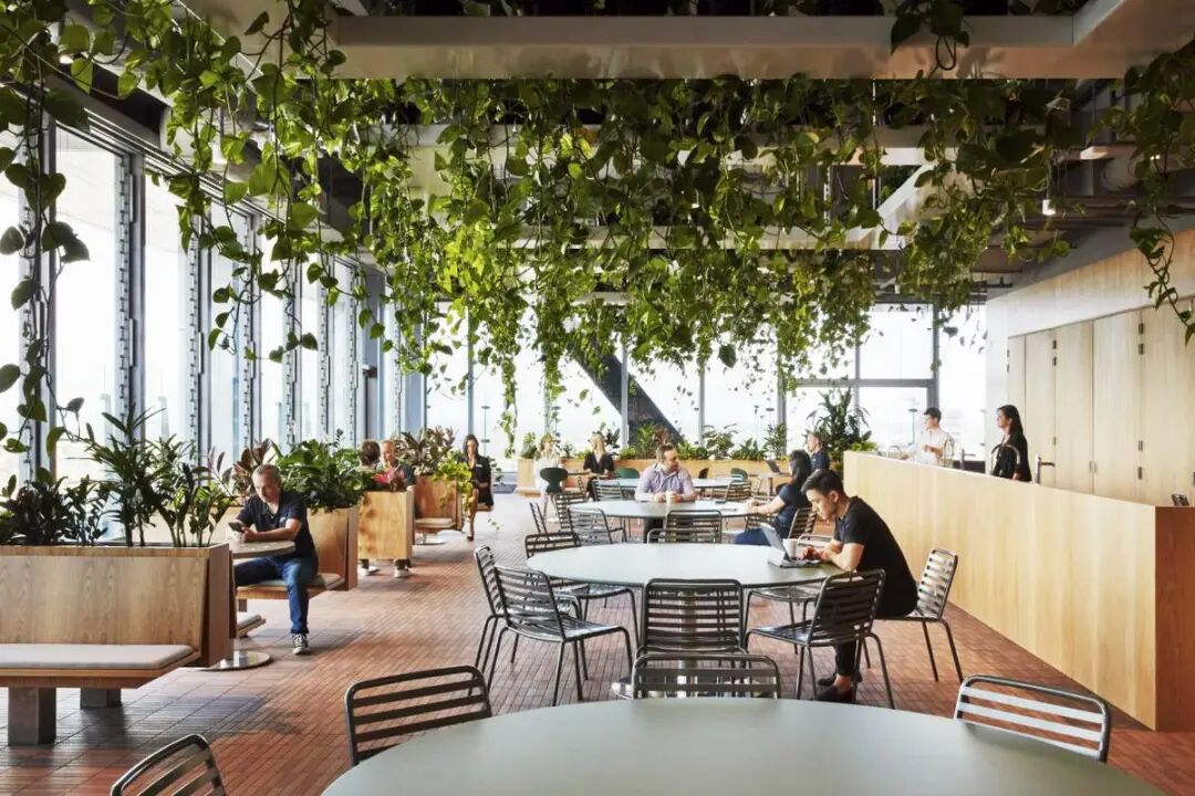 澳洲养老基金ART布里斯班总部丨澳大利亚布里斯班丨Cox Architecture-25