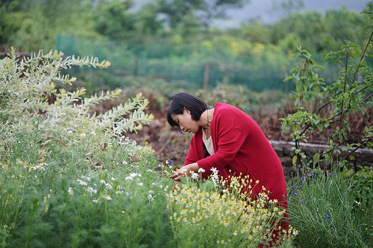 辞去工作，历时7个月，他们过上了有院子，有诗和远方的生活-84