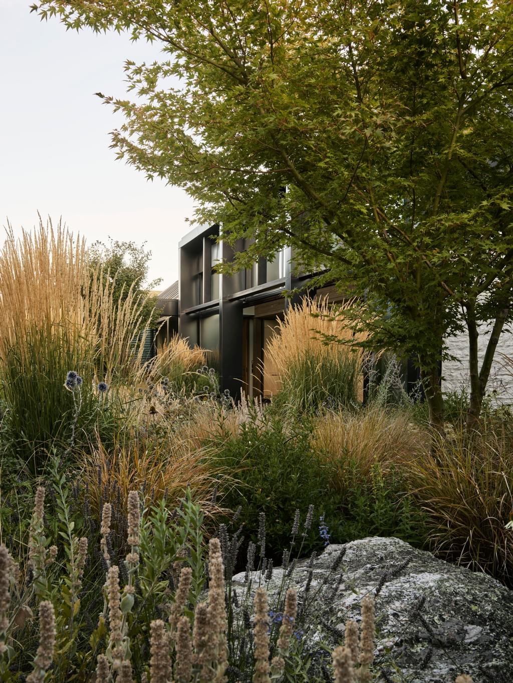 矛草屋丨新西兰-14