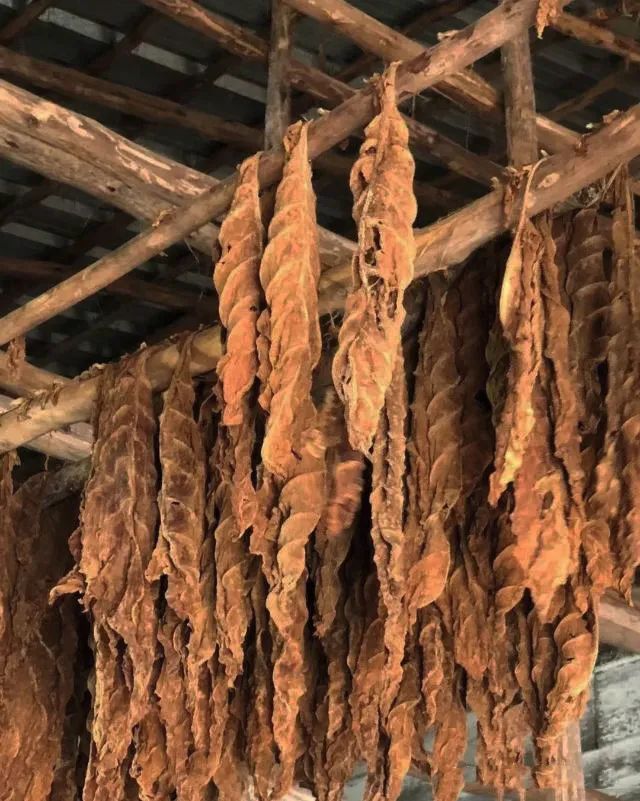 柏洲雪茄吧 私人会所丨中国杭州丨LONGTERM珑腾商业空间设计-11