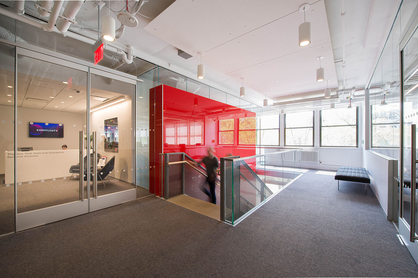 干细胞研究实验室 | 现代简约的科学之美-5