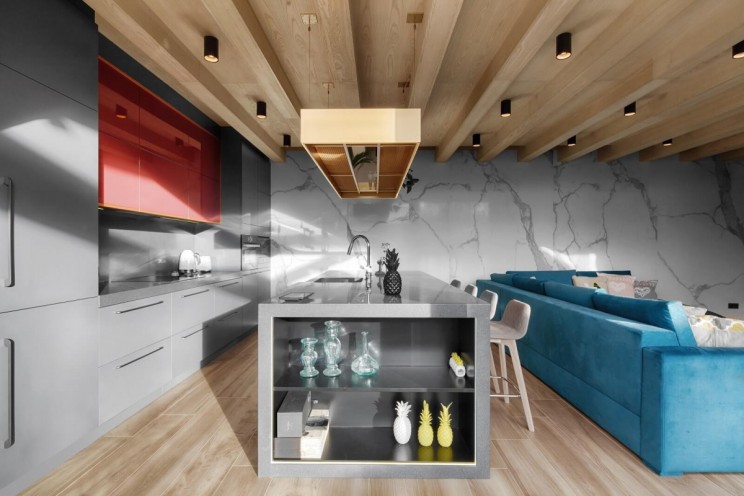 乌克兰基辅亚洲风住宅——和谐自然的人居环境-5