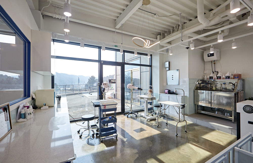 室内装饰的极致展现-9