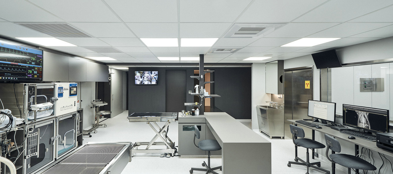 觉知造所设计 | 宠物图书休闲室共享空间-21