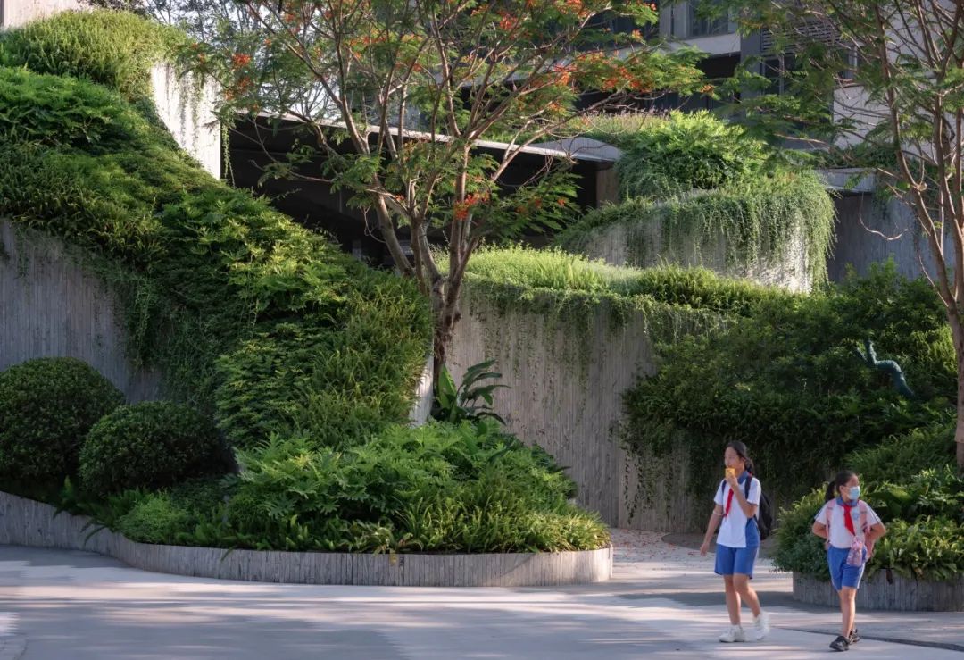 仁恒深圳公园世纪三期丨中国深圳丨TROP景观事务所-11