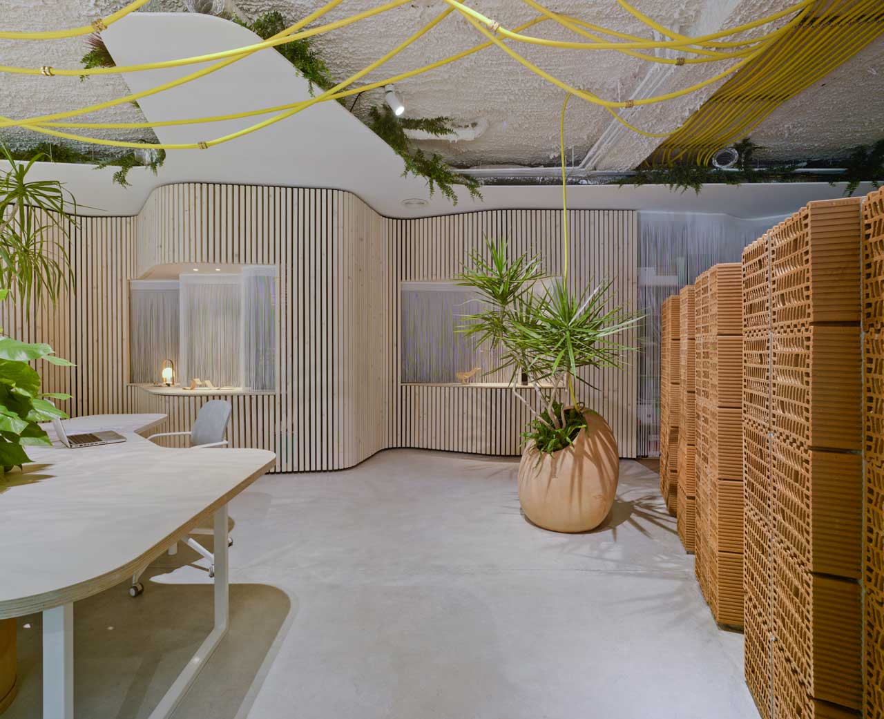 Antonio Maciá打造自然风绿意办公室-13