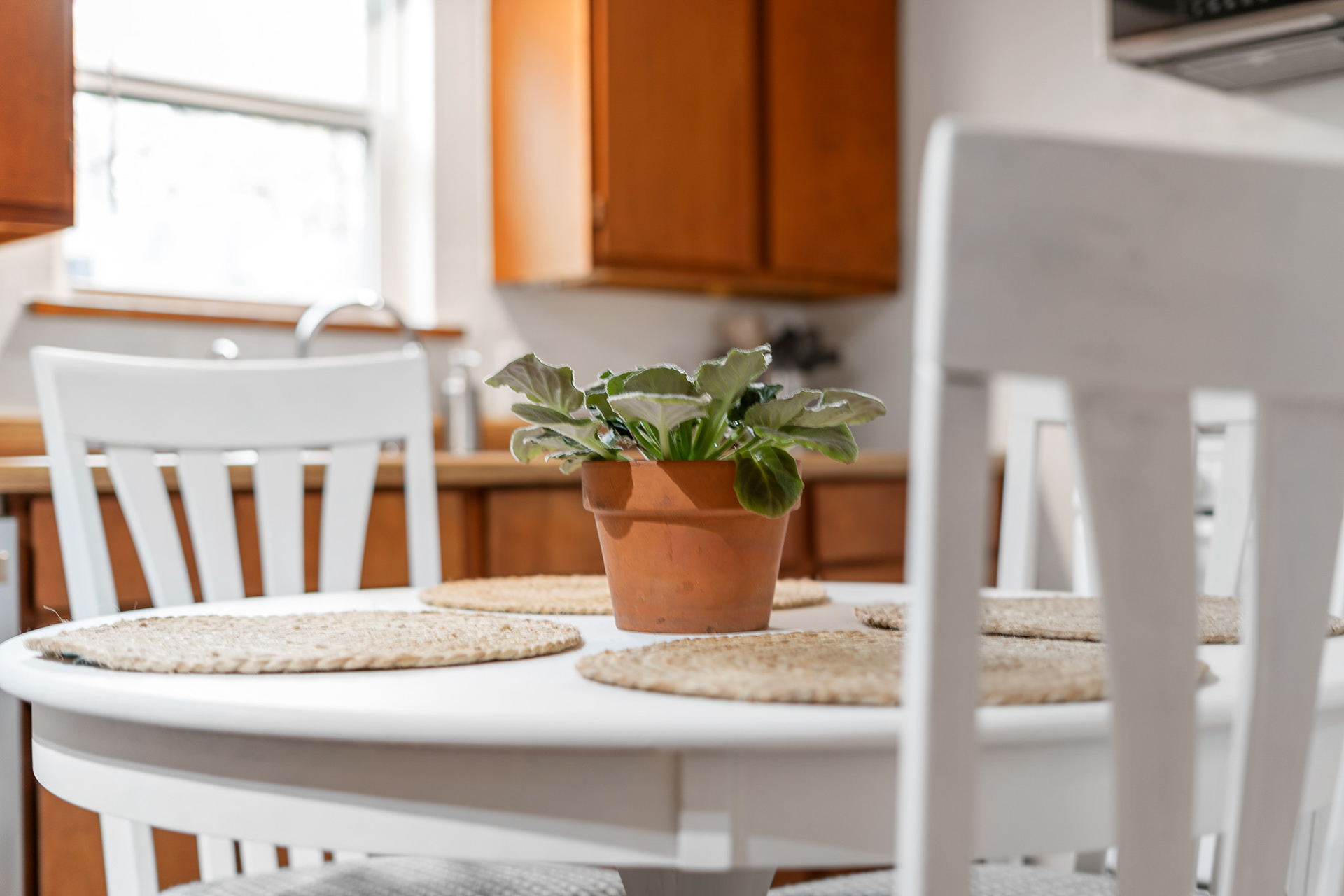 Austin Vacation Rental-3