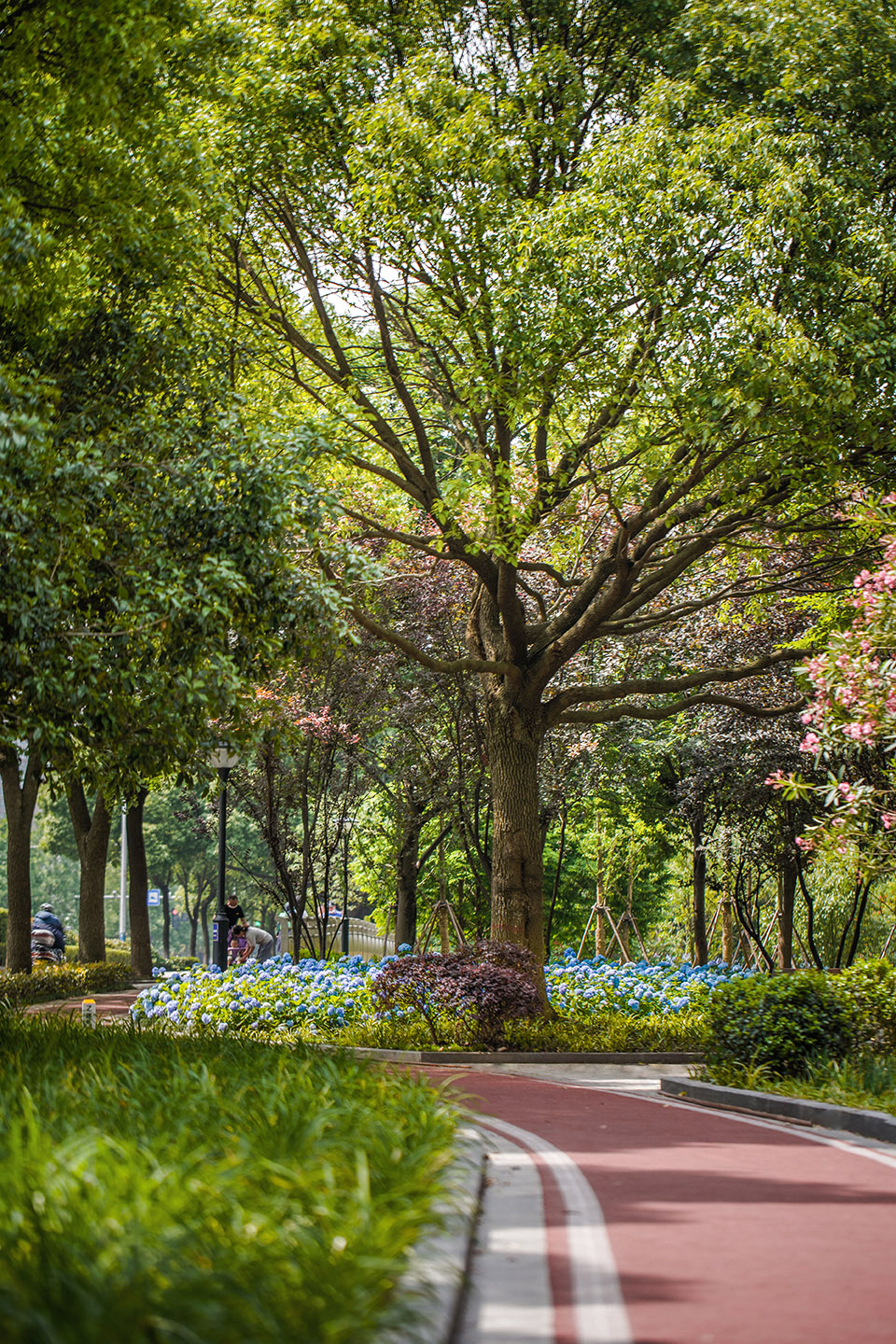 嘉兴口袋公园-50