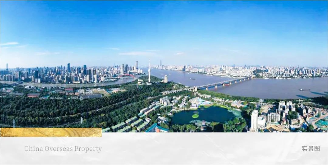 为540岁汉阳树安“新家”，中海守护文化“活化石”-31