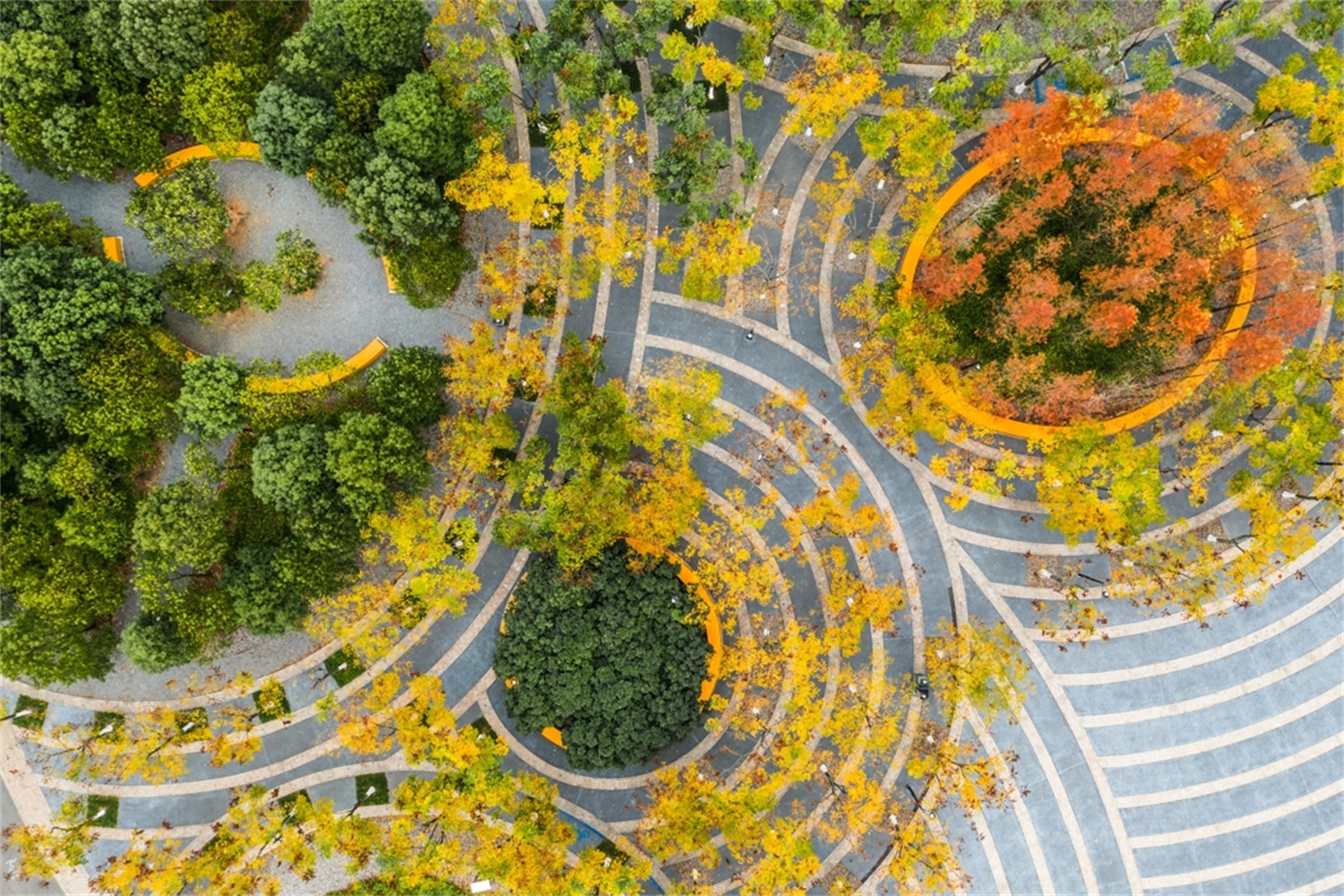 西安雁南公园（二期）丨中国西安丨土人设计（Turenscape）-272