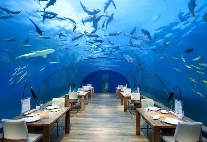 灵感||水下餐厅的奇妙之旅-4