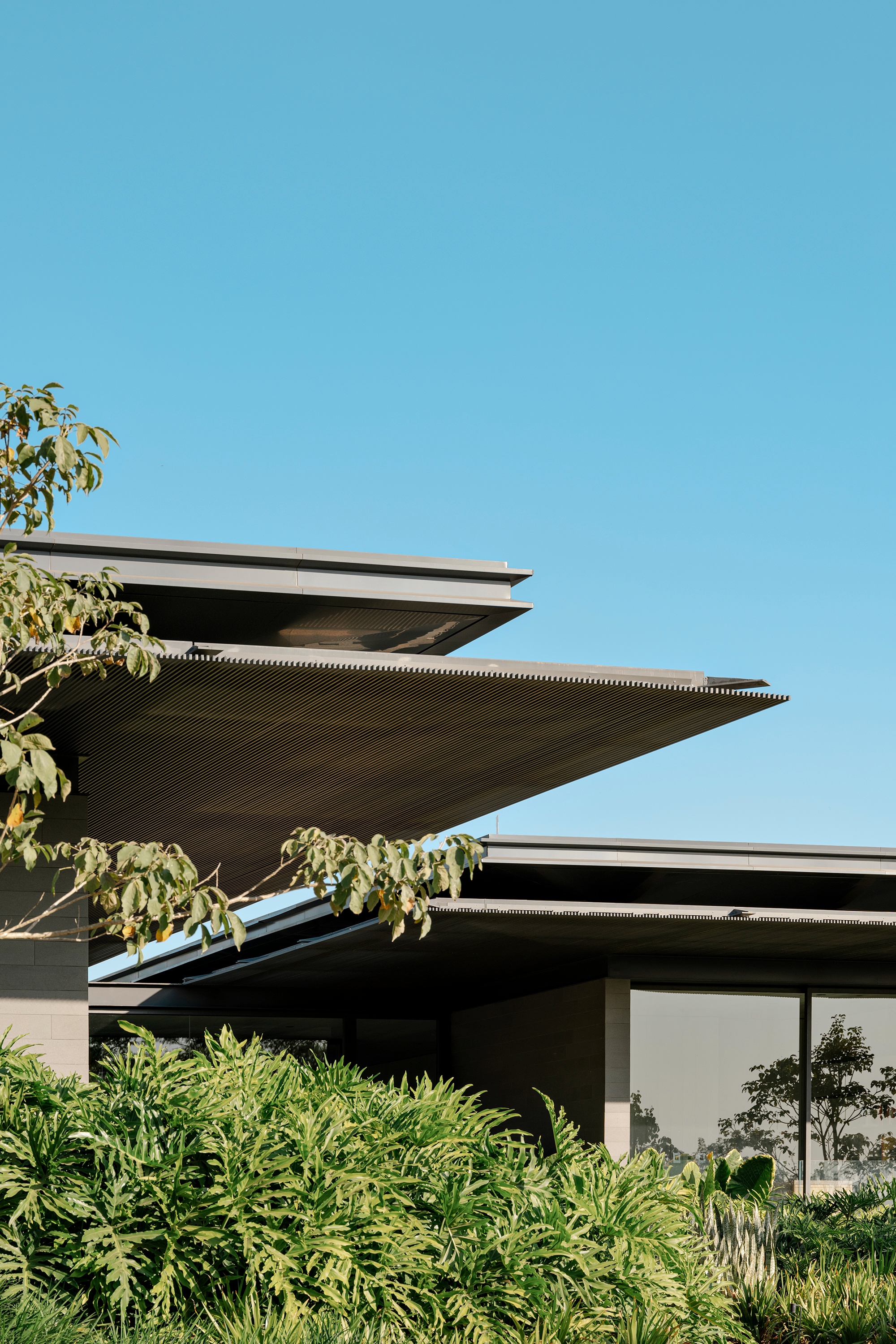 CL住宅:在地的营造丨巴西圣保罗-15