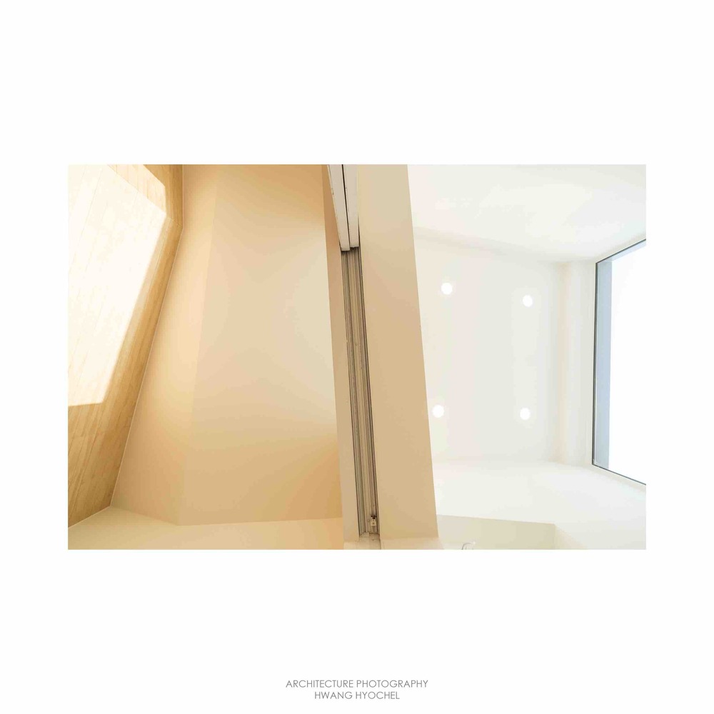 温暖阳光照亮受伤主人生活-47