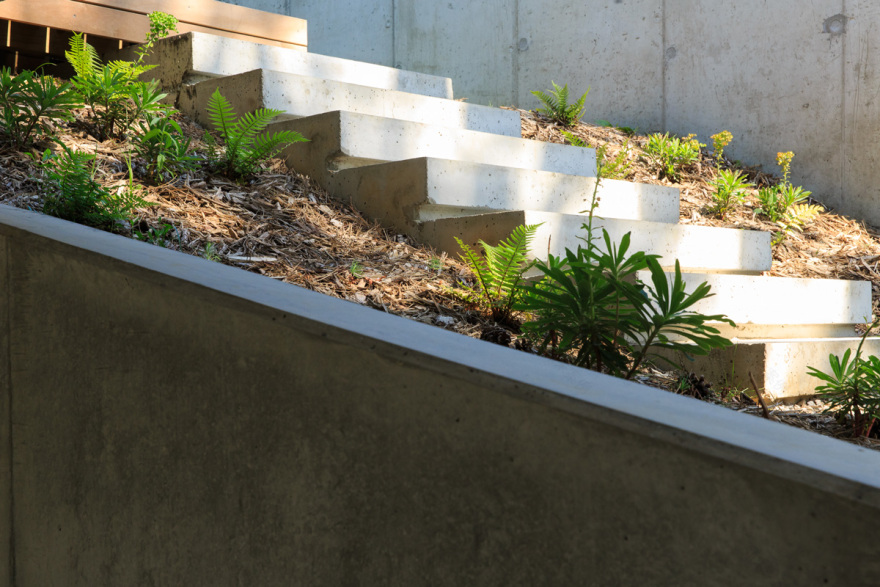 MTE - Dank Architectes-3