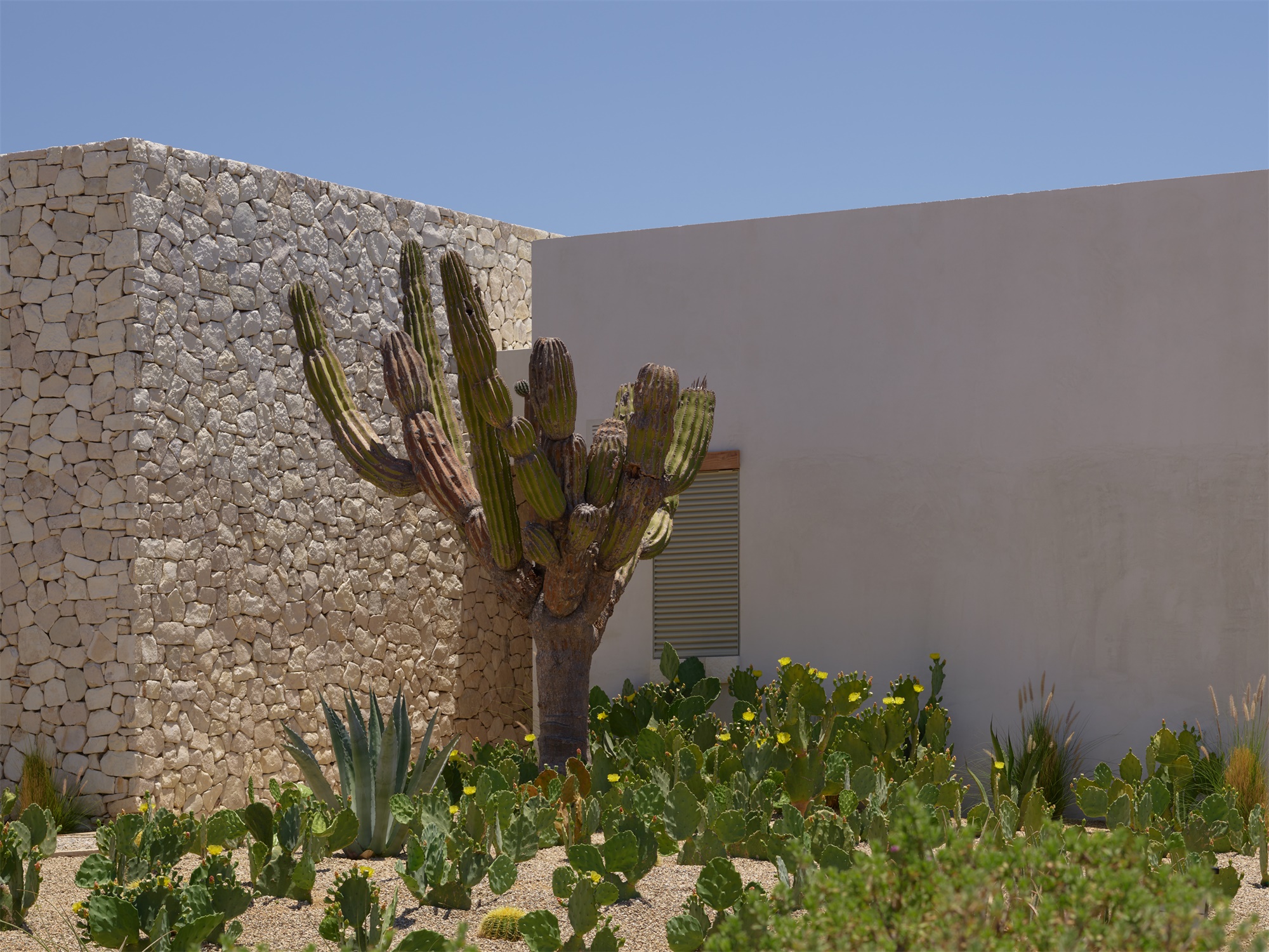 乡村庭院丨墨西哥-31